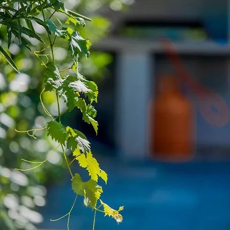 Essenza - Luksuzne Kuce Za Odmor Villa Vodice