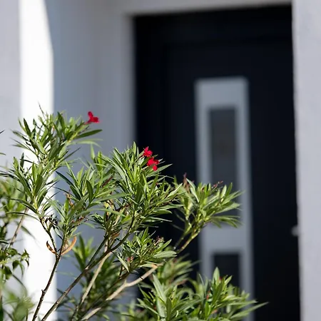 Essenza - Luksuzne Kuce Za Odmor Vodice