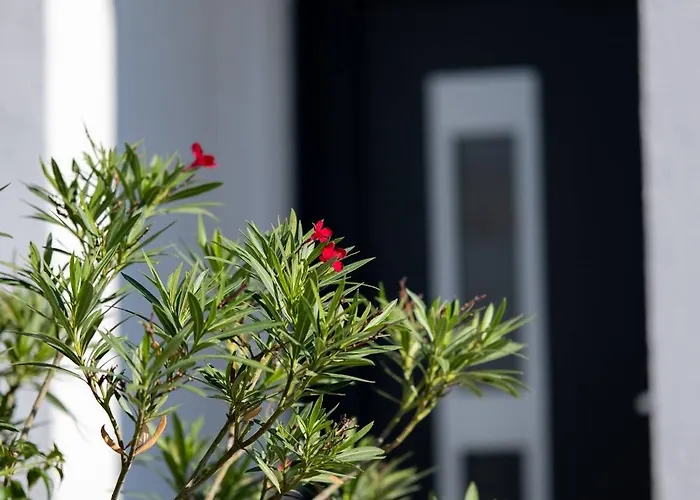 Essenza - Luksuzne Kuce Za Odmor 沃迪切